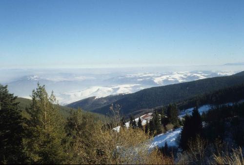 Montagne Vitosha