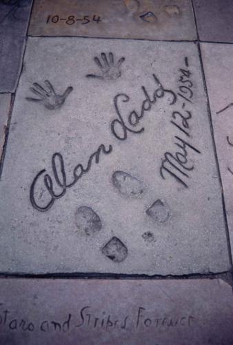 Alan Ladd (acteur 1913-1964)