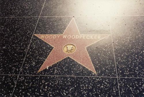 Woody Woodpecker (personnage de dessin animé)