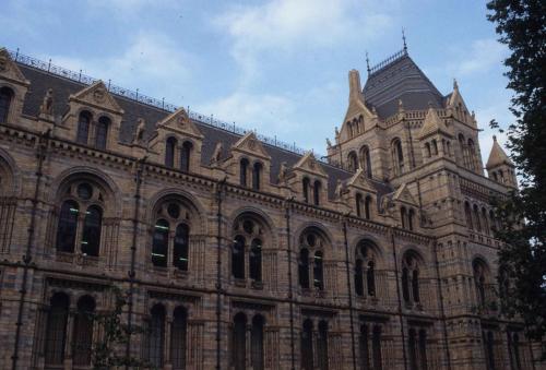 Museum d'histoire naturelle