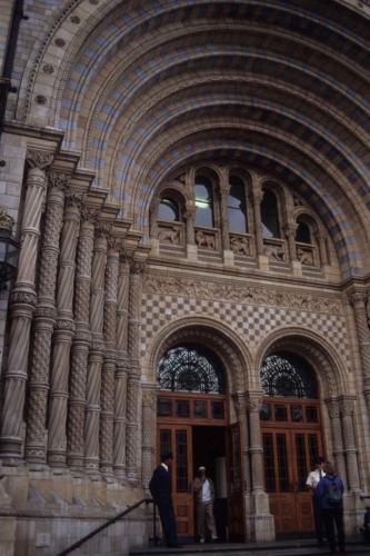 Museum d'histoire naturelle