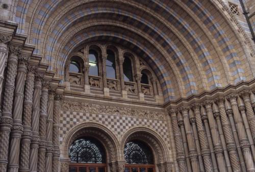 Museum d'histoire naturelle