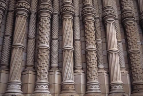 Museum d'histoire naturelle