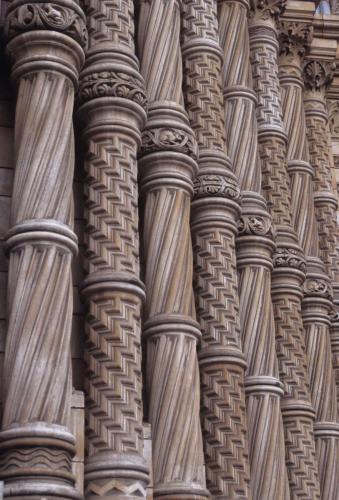 Museum d'histoire naturelle