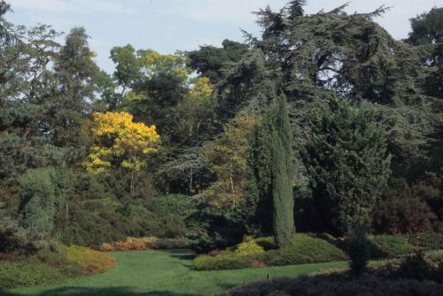 Kew gardens