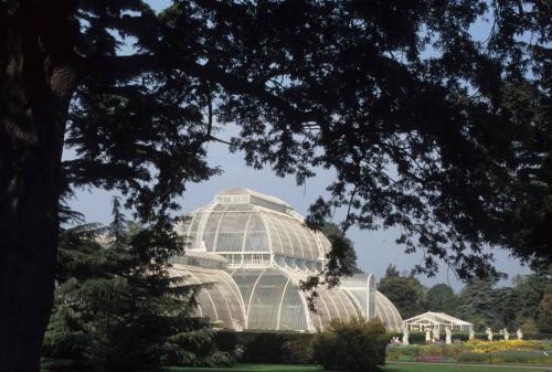 Kew gardens