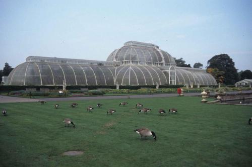 Kew gardens