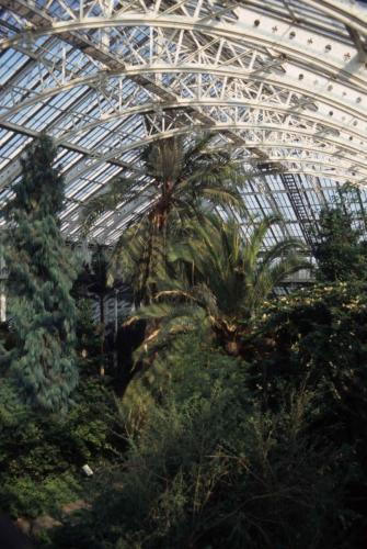 Kew gardens