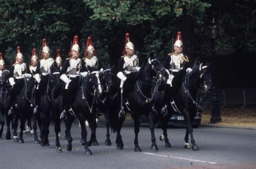 Relève de la garde à Buckingham Palace
