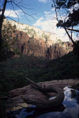 Parc national de Zion