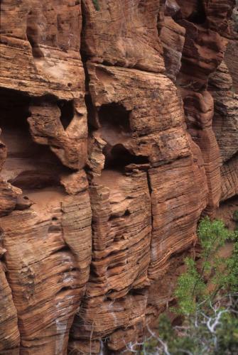 Parc national de Zion