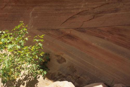 Parc national de Zion