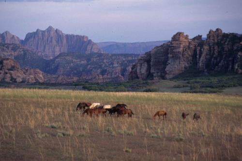 Parc national de Zion
