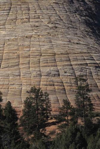 Parc national de Zion