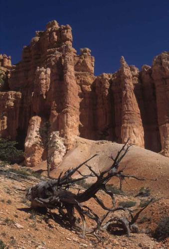 Parc national de Bryce Canyon