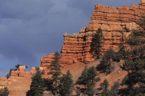 Red canyon