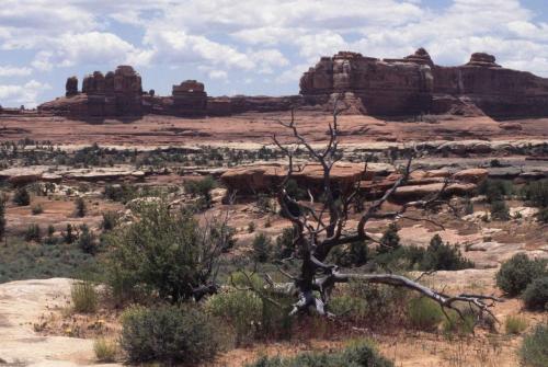 Parc national de Canyonlands