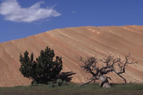 Parc national de Canyonlands
