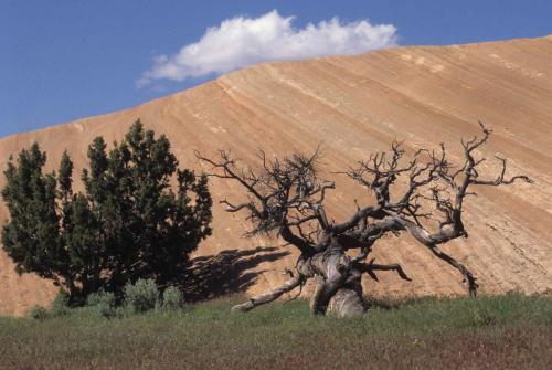 Parc national de Canyonlands