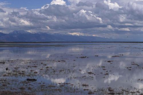 Grand lac salé