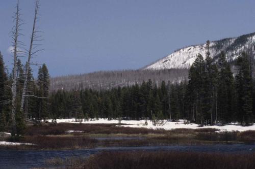 Parc national de Yellowstone