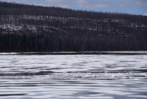 Parc national de Yellowstone