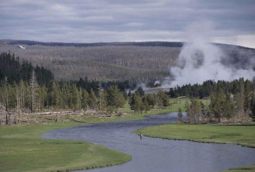 Parc national de Yellowstone