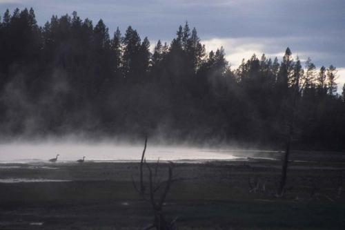 Parc national de Yellowstone