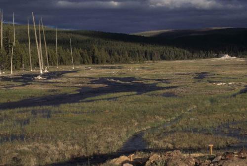 Parc national de Yellowstone