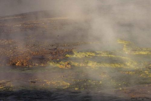 Parc national de Yellowstone