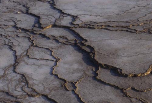 Parc national de Yellowstone