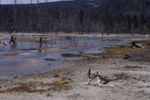 Parc national de Yellowstone