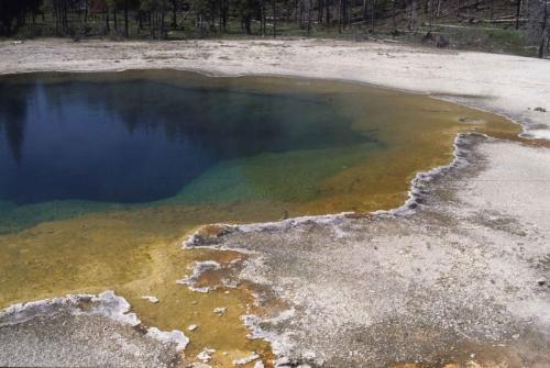 Parc national de Yellowstone