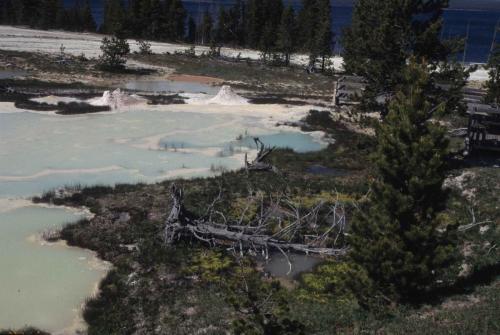 Parc national de Yellowstone