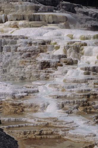 Parc national de Yellowstone