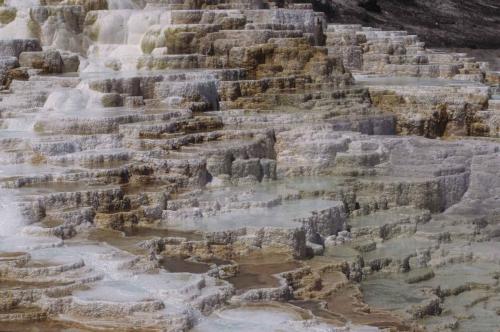 Parc national de Yellowstone