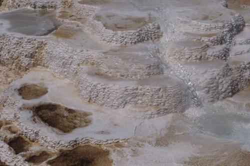 Parc national de Yellowstone