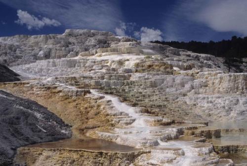Parc national de Yellowstone