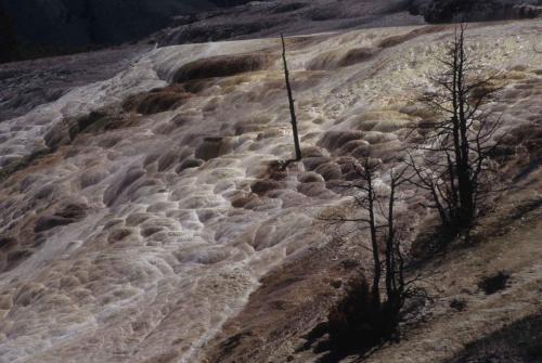 Parc national de Yellowstone