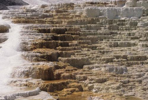 Parc national de Yellowstone