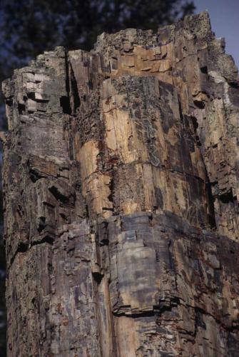 Parc national de Yellowstone