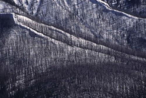 Parc national de Yellowstone