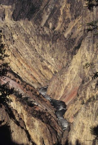 Parc national de Yellowstone