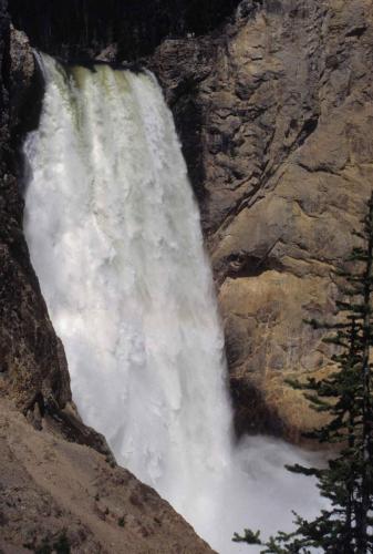 Parc national de Yellowstone