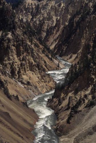 Parc national de Yellowstone