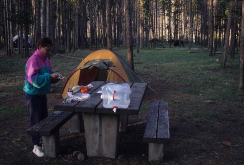 Parc national de Yellowstone