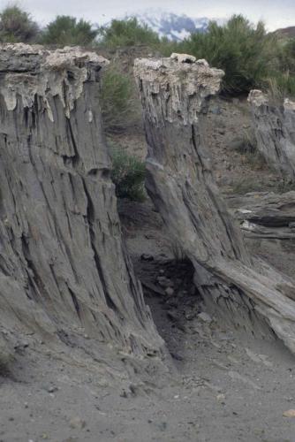 Mono Lake