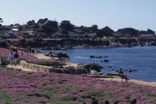 Côte Pacifique