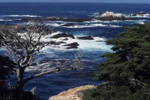 Côte Pacifique